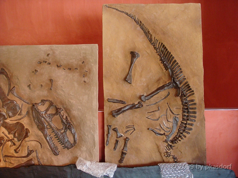 011 Cranbrook Institute of Science [2008 Jan 02].JPG